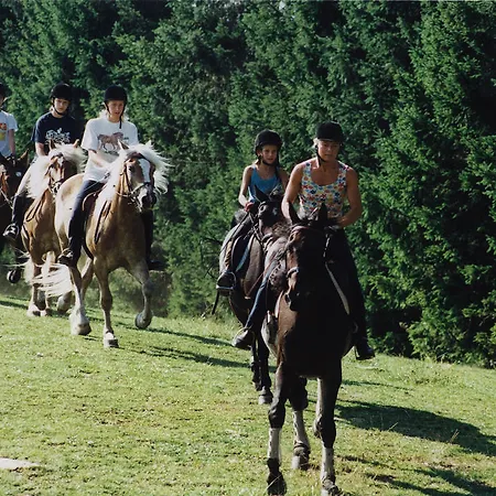 Gasthof Gaberlhaus Salla
