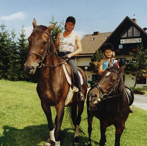 Pensjonat Gaberlhaus