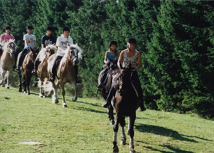 Pensjonat Gaberlhaus Salla